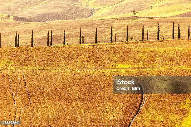 Paesaggio Con Cypress Foderato Strada Toscana Italia - Fotografie stock e altre immagini di Natura