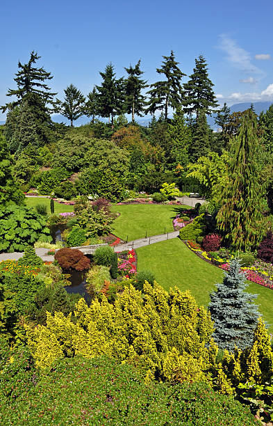 istock Green spring botanical garden 466899769