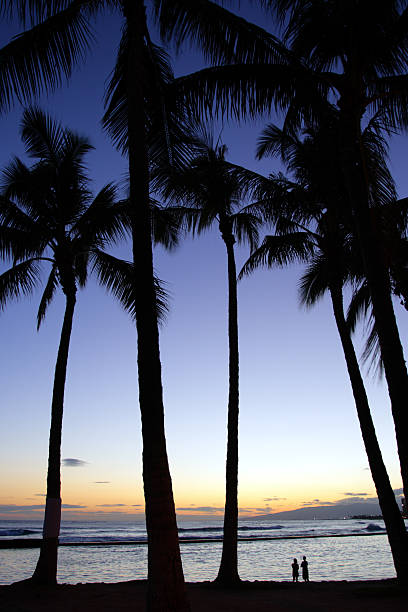 istock Waikiki Beach, Honolulu, Oahu, Hawaii 466900090