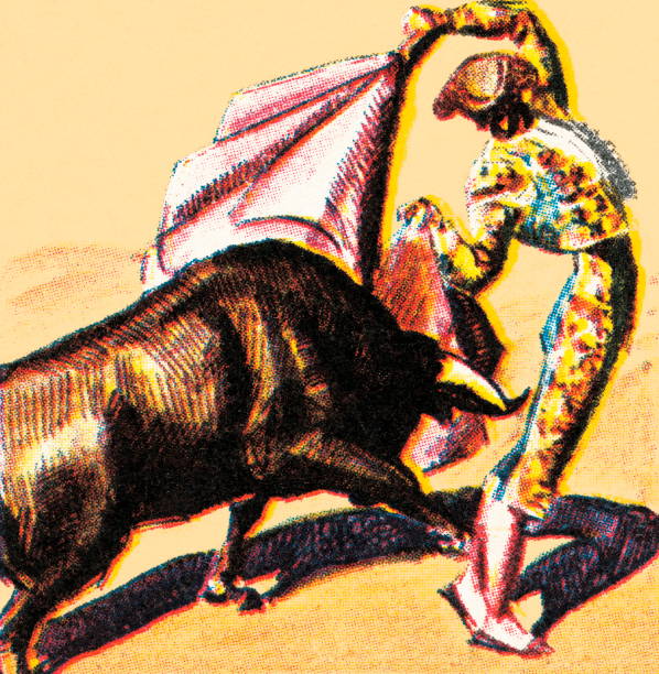 Matador and bull http://csaimages.com/images/istockprofile/csa_vector_dsp.jpg bullfighter stock illustrations