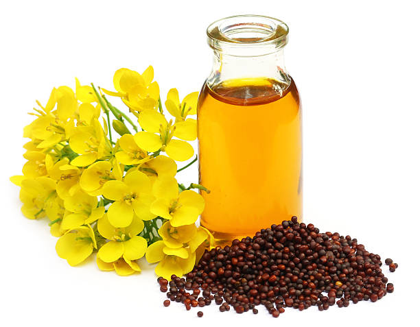 Mustard flowers and oil