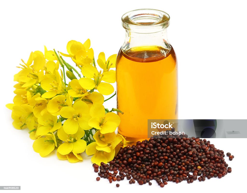 Mustard flowers and oil Mustard flowers and oil over white background Cooking Oil Stock Photo