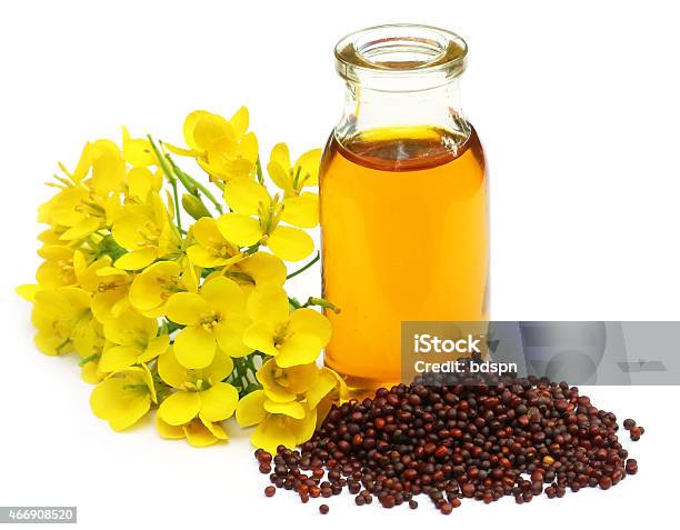 Mustard Flowers And Oil Stock Photo - Download Image Now - Cooking Oil, Mustard, Flower