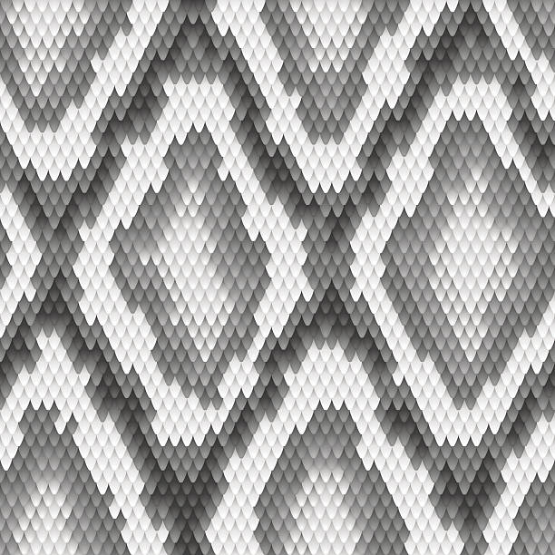 Python Snake Patterns Drawing 1,000+ Rattlesnake Pattern Stock Illustrations, Royalty-Free Vector ...