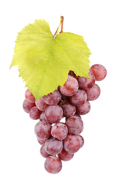 istock Fresh red grapes with leaves 466917887