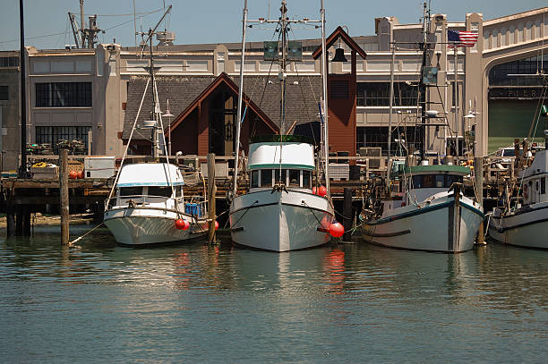 Fisherman's Wharf de la flotte de pêche - Photo