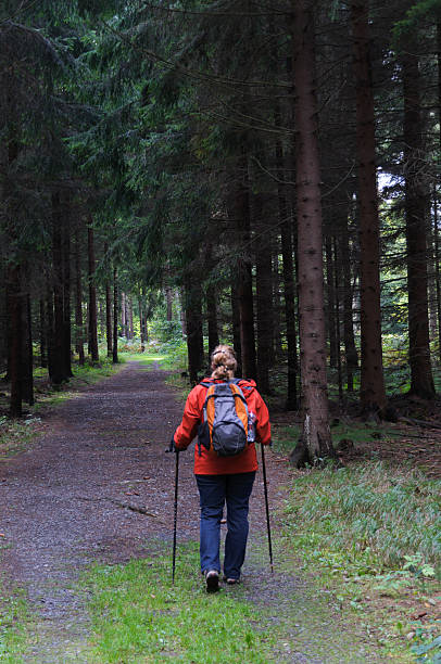 istock Woman to hiking in the forest 466918287
