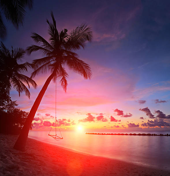 istock Beach with palm trees and swing at sunset, Maldives 466918323