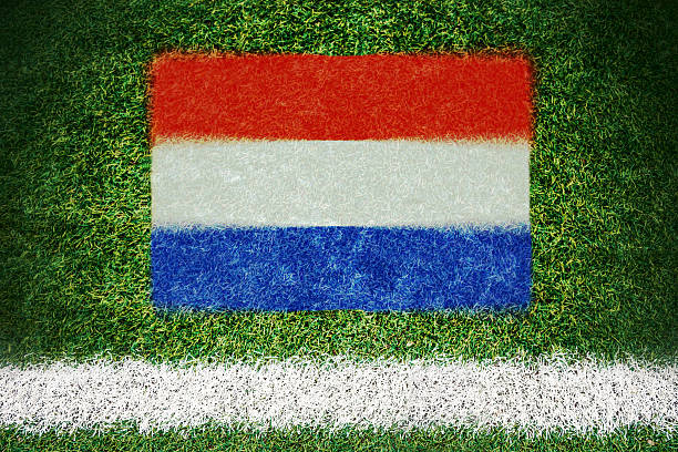 istock Netherlands flag printed on a soccer field 466918363