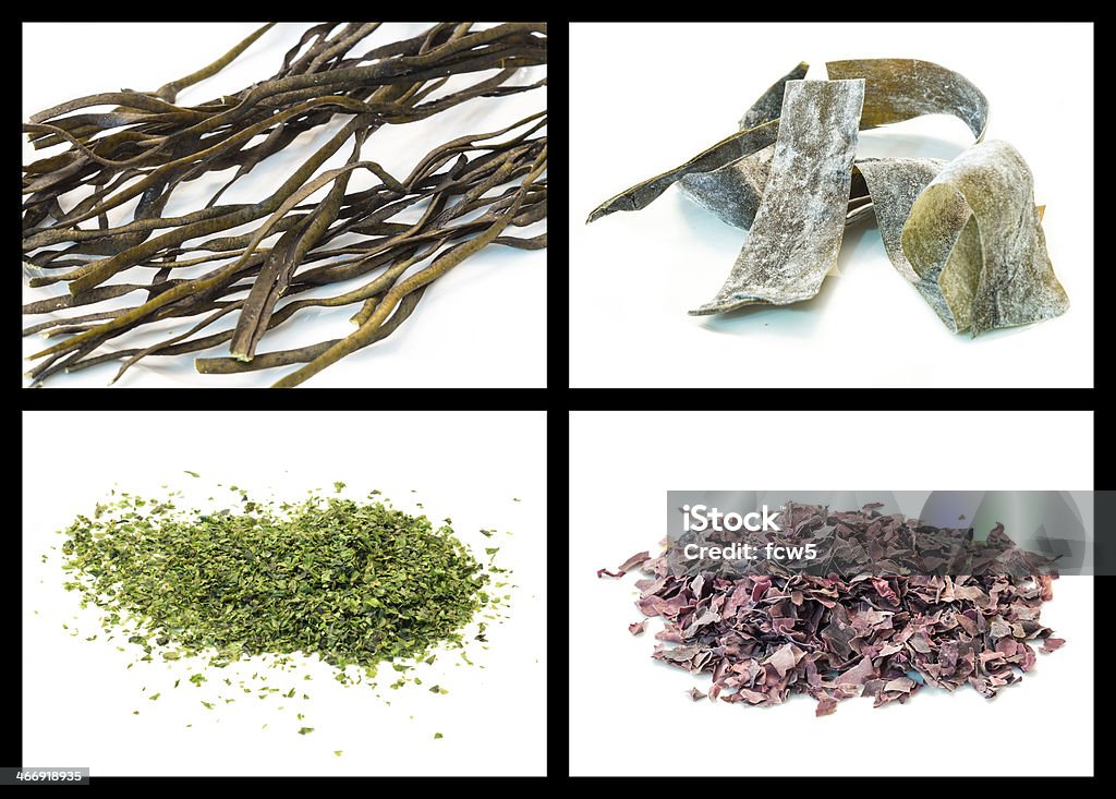 Seaweed Seaweed details: spaghetti di mare, kombu, sea lattuce and dulse Seaweed Stock Photo