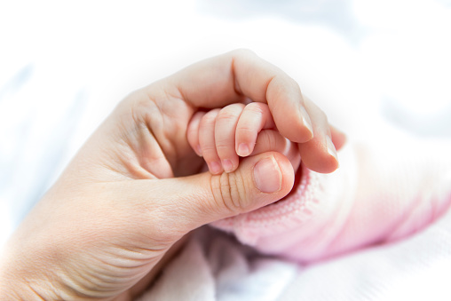 An adult hand with the small hand of a baby. 