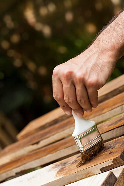 istock Painting the fence process 466921541