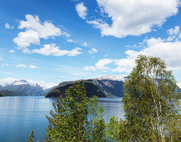 istock Mountains and sky reflected in a Norwegian fjord. 466922098