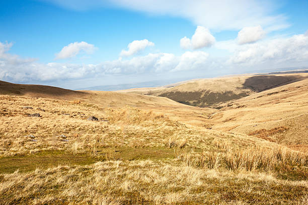 istock Welsh countryside at Llynyfan Fach 466922424