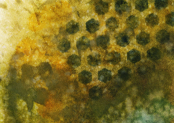 istock Textured earth tone watercolor with honeycomb grid pattern 466922444