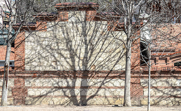 istock Shadows of Two trees in The Wall 466926274