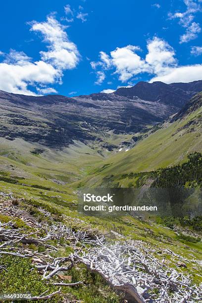 Mountain Valley - Fotografie stock e altre immagini di Ambientazione esterna - Ambientazione esterna, Composizione verticale, Fotografia - Immagine