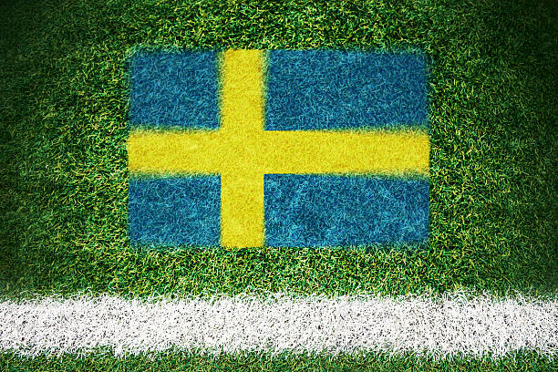 Swedish flag printed on a soccer field