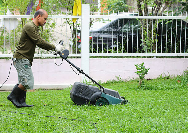 istock Man cutting grass. With the mower. 466931597