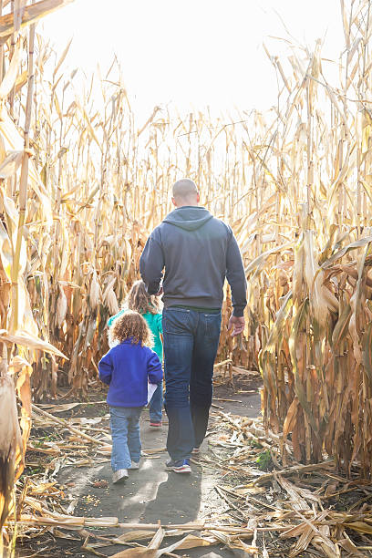 istock Two Young Girls & Father Walking Through Corn Maze 466931838
