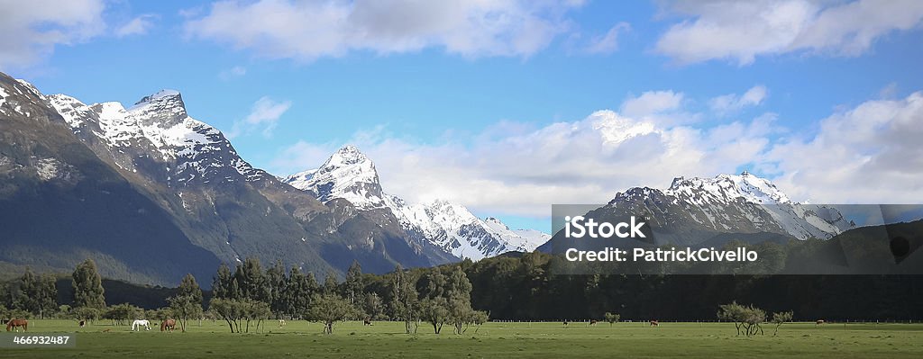 Glenorchy, Nueva Zelanda - Foto de stock de Agricultura libre de derechos