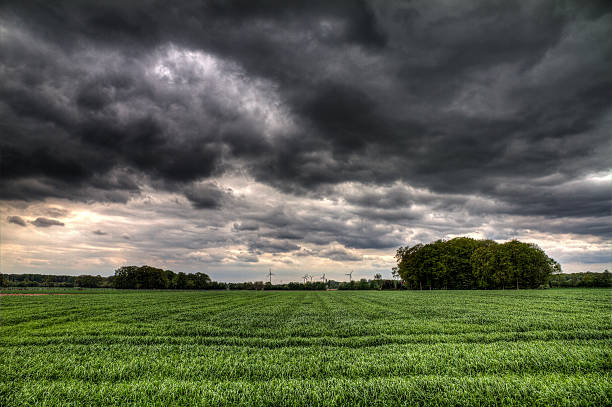 storm felder - storm cloud storm dramatic sky hurricane stock-fotos und bilder