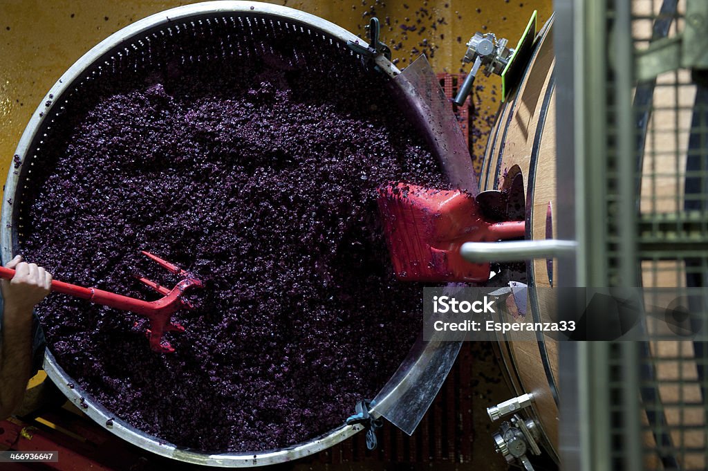 Working wine grapes in cellar Winemaking Stock Photo