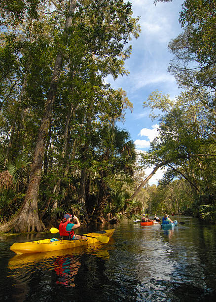 istock Group of Kayakers on the Silver River 466940962