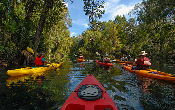 Group of Kayakers on the Silver River Kayakers paddle the Silver River at Silver Springs, Florida. kayaking stock pictures, royalty-free photos & images