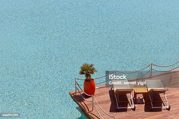 Piscina - Fotografie stock e altre immagini di Albergo - Albergo, Albergo di lusso, Albero