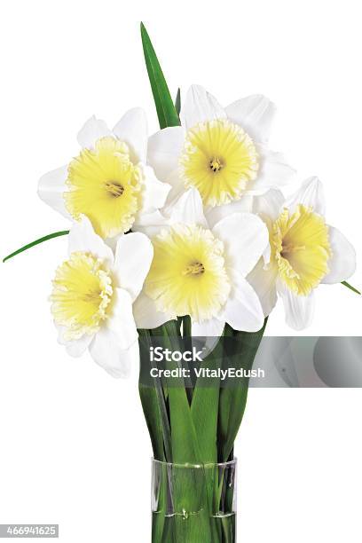 Piękna Wiosna Kwiaty W Wazon Żółtobiałe Narcissus Daffod - zdjęcia stockowe i więcej obrazów Bez ludzi