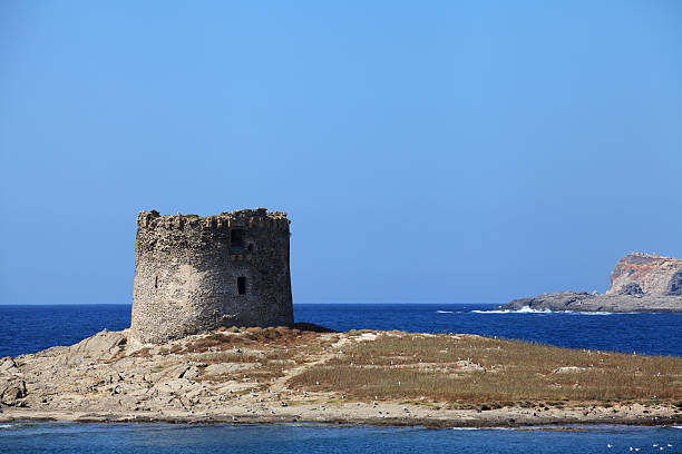 istock Sardinia, Italy: Stintino, La Pelosa Beach 466942469