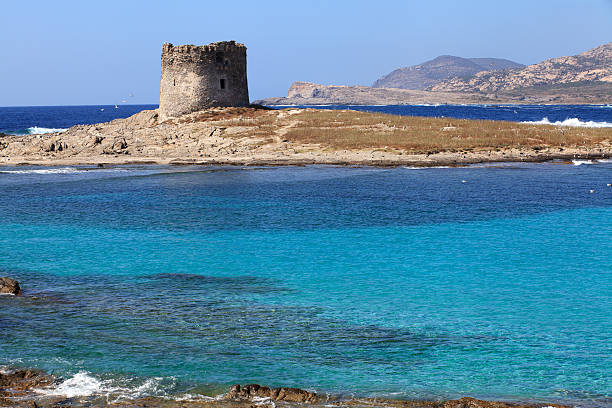 istock Sardinia, Italy: Stintino, La Pelosa Beach 466942741