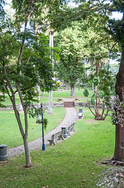 istock Walkway and benches in Hamilton, Bermuda, Victoria Park. 466944952