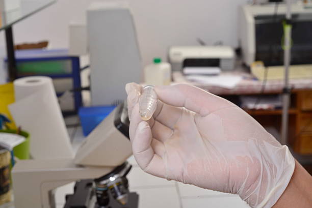 istock Medical analysis and research 466946342