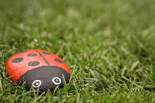 Stone Painted as Ladybug laying in lawn.