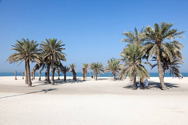 Beach in Umm Al Quwain, UAE stock photo
