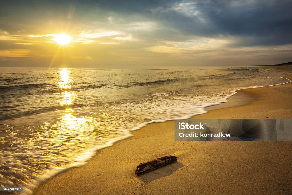 流��木に美しいビーチ、海に沈む夕日 - バケーションのロイヤリティフリーストックフォト