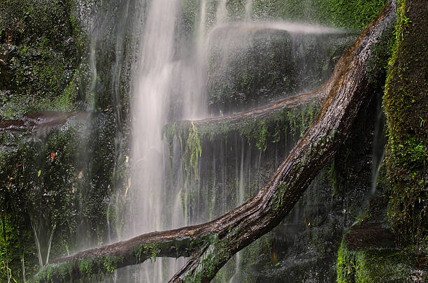 Brecon Beacons National Park stock photo