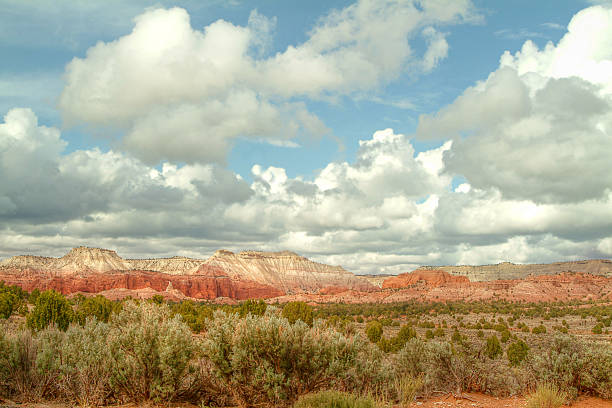 Painted Cliffs Beautiful Sky Clouds Escalante Grand Staircase Kodachrome Utah Blue Sky and Beautifully Formed White Clouds over Painted Cliffs of the Escalante Grand Staircase National Monument shot from Panorama Trail Kodachrome Basin State Park.  High Desert Vegetation seen in Foreground. Kodachrome features Red Clay, Entrada Sandstone, Spires, Geysers, Beehives and Natural Arch Formations in a multitude of colors. Like Kodachrome Film. grand staircase escalante national monument stock pictures, royalty-free photos & images