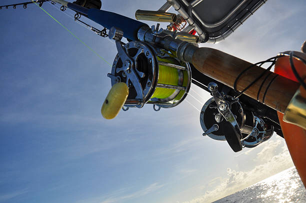istock Fishing rods and reels 466948499