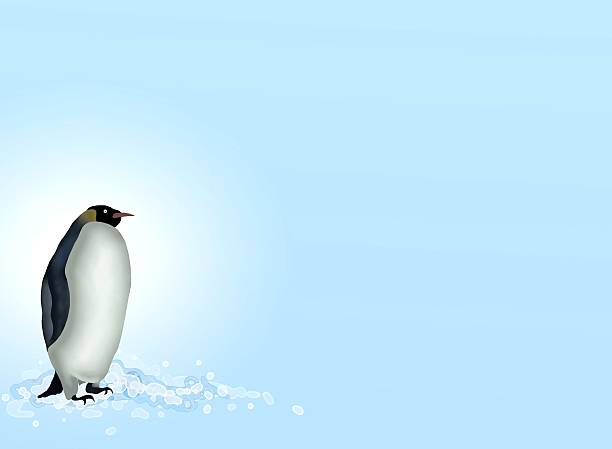 istock Postcard and Note Paper of A Penguin in Antarctica 466949275