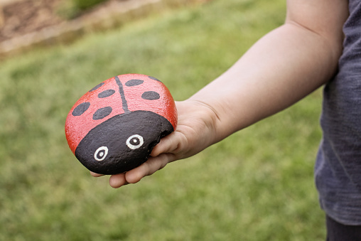 Stone Painted as Ladybug in a child's hands