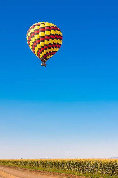 istock Hot air balloon flying over corn fields against blue sky 466951717