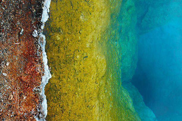 геотермальная пейзаж, йеллоустонский национальный парк, сша - badlands prairie landscape badlands national park стоковые фото и изображения