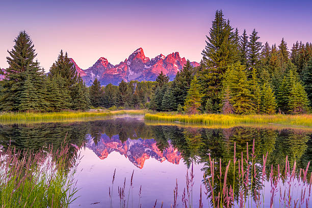 istock Schwabacher's Landing at Dawn 466951945