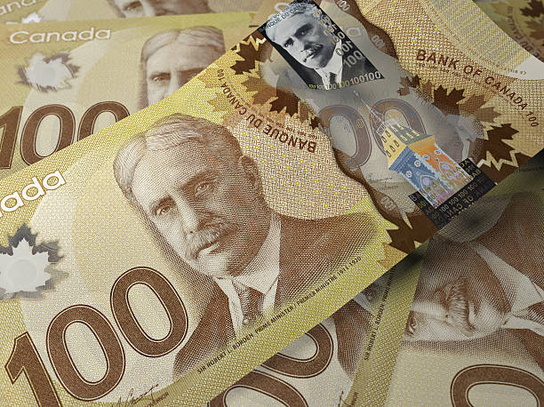 kanadyjskie banknot 100-dolarowe - canadian dollars canada bill one hundred dollar bill zdjęcia i obrazy z banku zdjęć