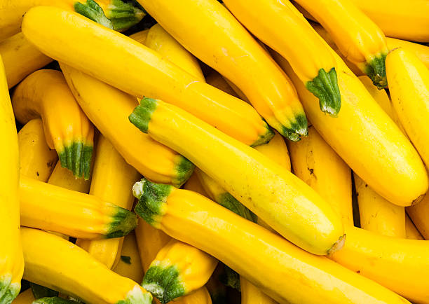 zucca gialla fresco in mostra al farmers market - crookneck squash foto e immagini stock