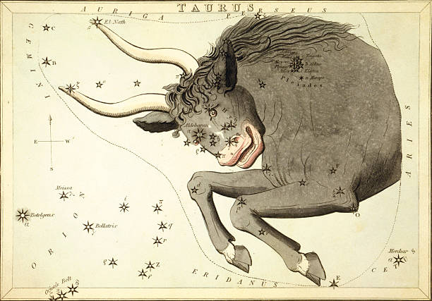 телец, второй astrological знак зодиака в - taurus stock illustrations