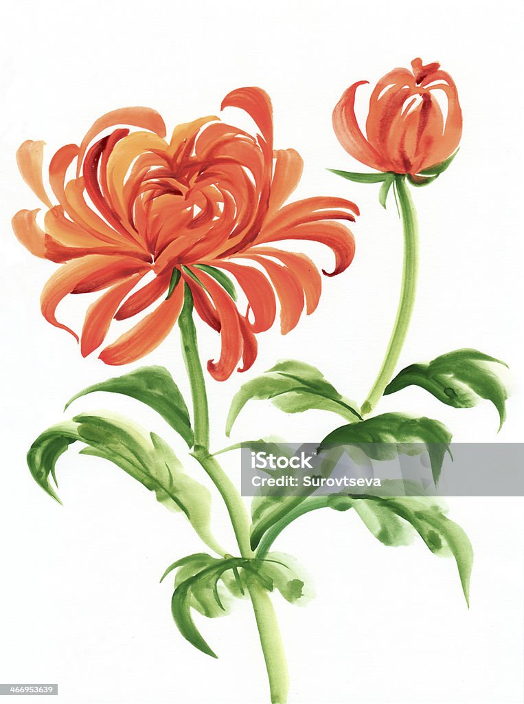 Arancio Crisantemo - Illustrazione stock royalty-free di Arancione